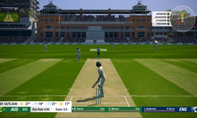 cricket-19