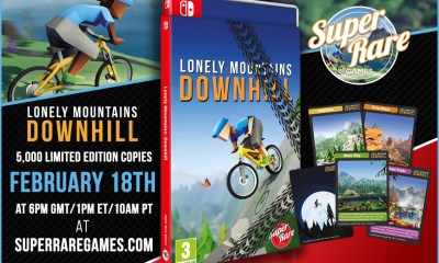 Lonely Mountains Downhill physical switch