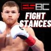 ESBC Fight Stances and Boxing Styles