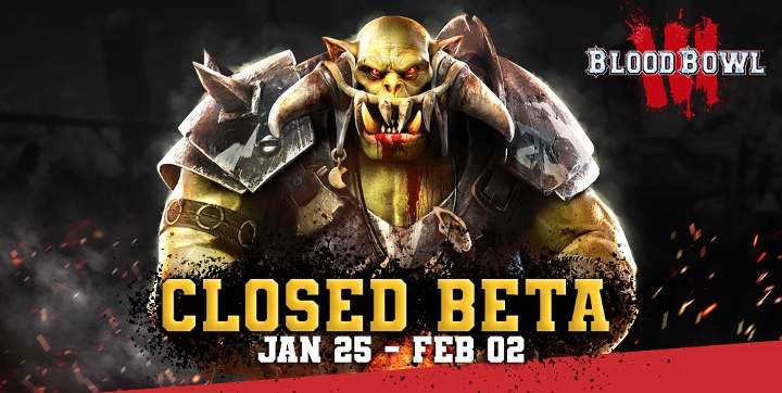 New Blood Bowl 3 Closed Beta