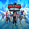 wild card football