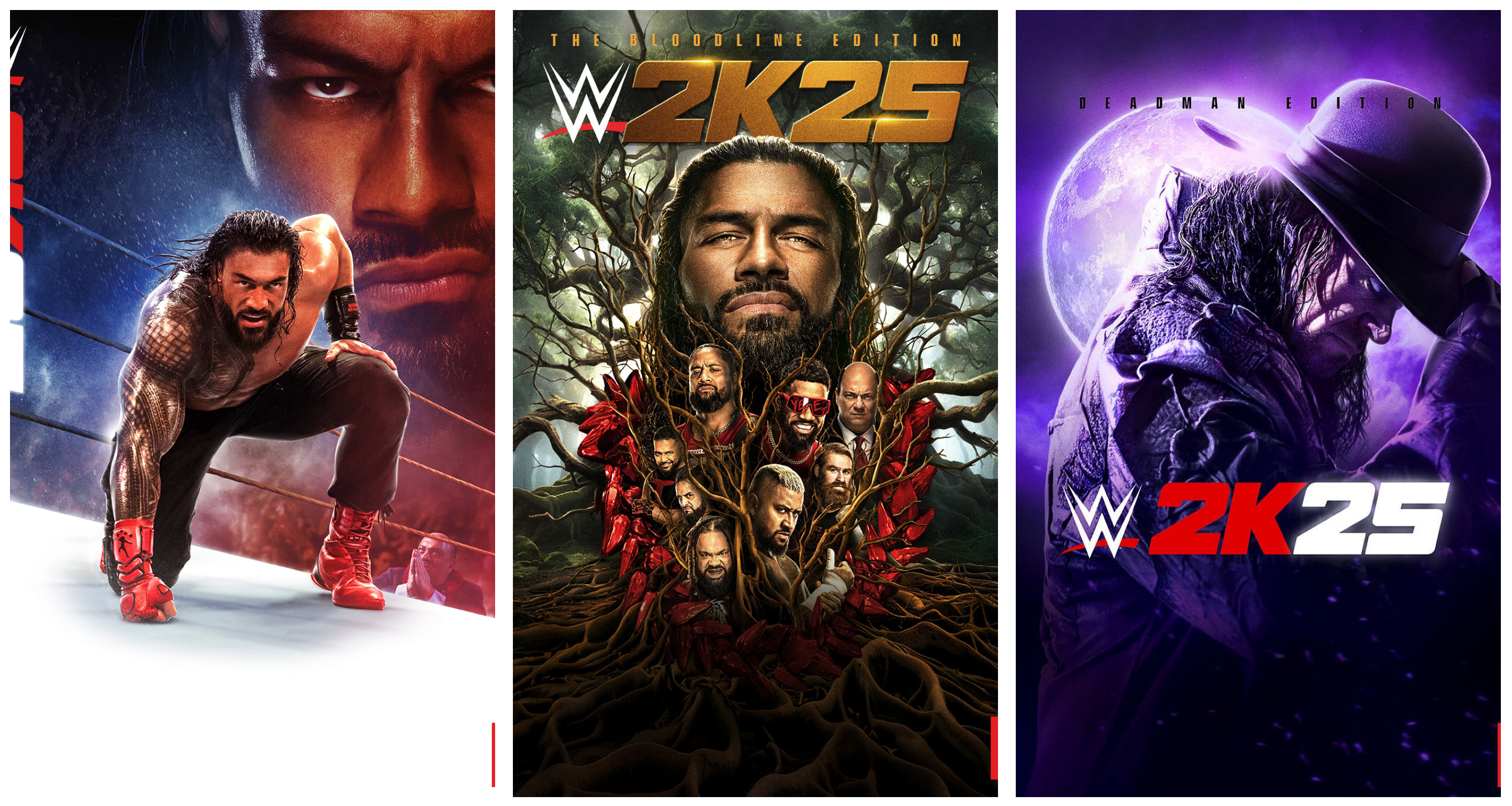 wwe 2k25 covers